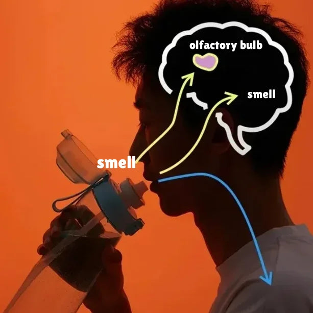 Kvapų gertuvė su 7 vaisių kapsulėmis – 750 ml, be cukraus, sportui ir aktyviam laisvalaikiui (šviesiai purpurinė)