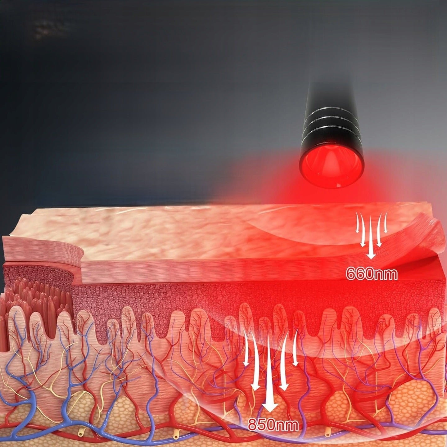 LED fotoninės terapijos žibintuvėlis su raudona šviesa 660 nm - 850 nm raudona