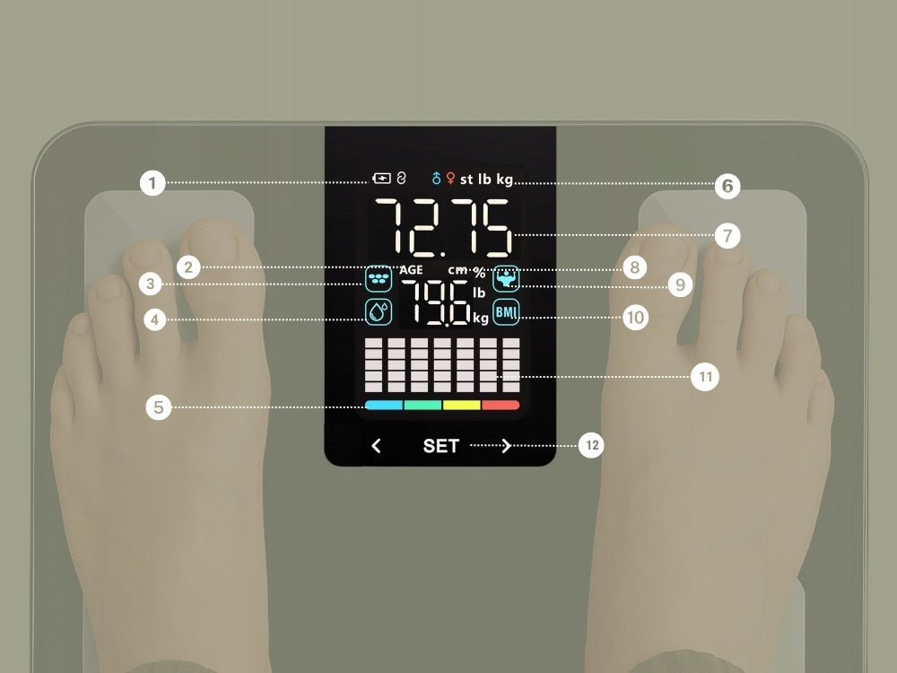 Elektroninės vonios svarstyklės Alpha – su programėle